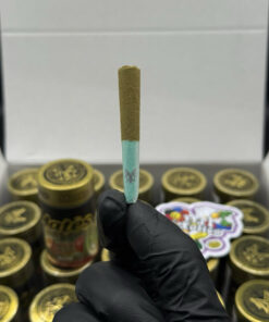 Muha Mates Infused Pre-Rolls