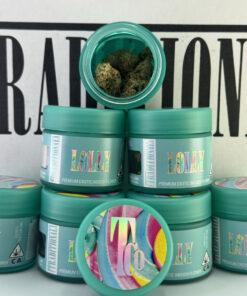 Traditional Premium Exotic Indoor Flower